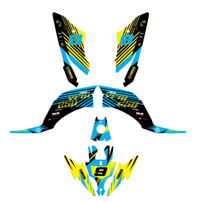 YFM 250 RAPTOR CYLOW