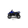 350 BANSHEE 22Factory