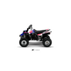 350 BANSHEE Lastone