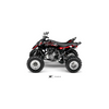 YFM 250 RAPTOR KAMO