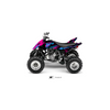 YFM 250 RAPTOR PRETOR