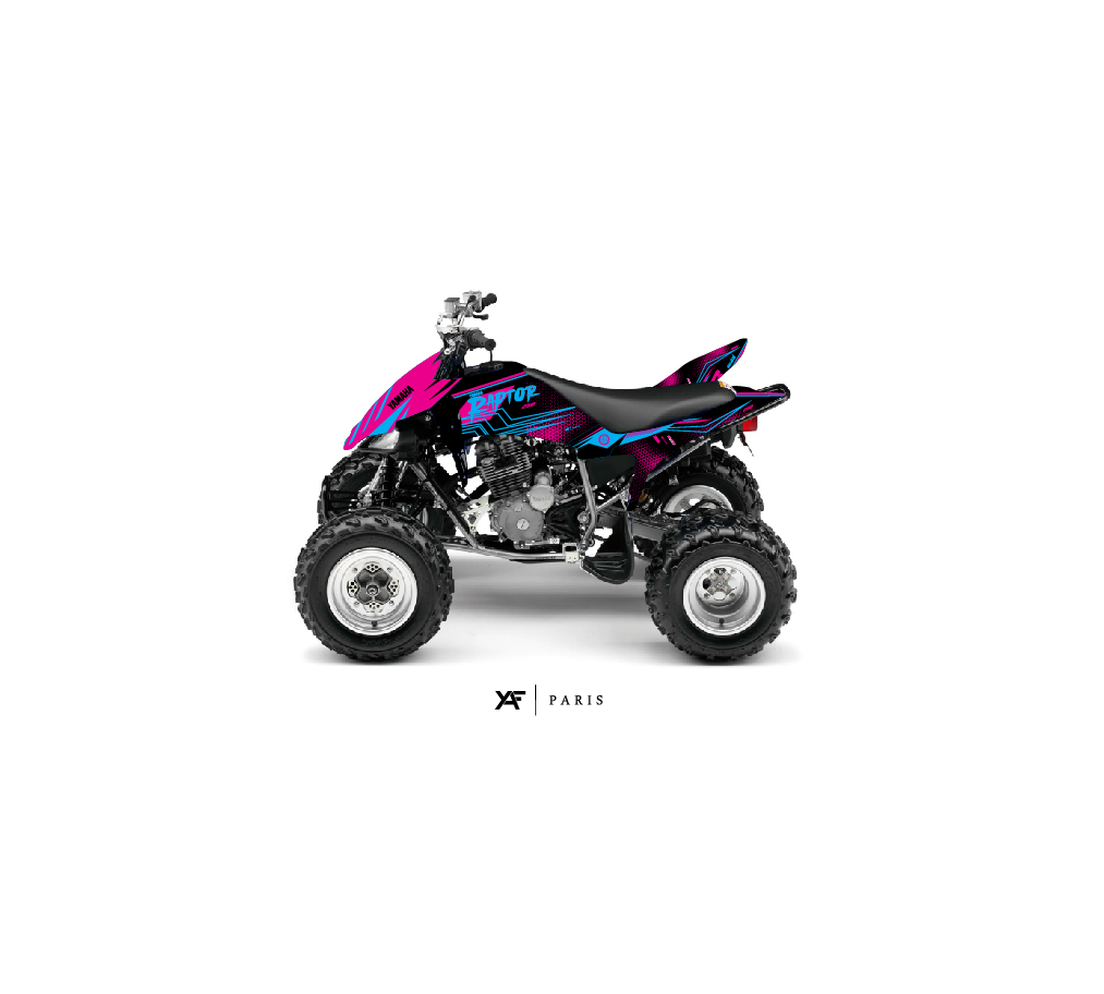 YFM 250 RAPTOR PRETOR