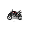 YFM 250 RAPTOR RED-X