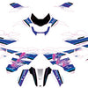 500 KLE Kawasaki - Winter